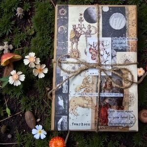 Blind Date With a Book Discover the magic 🌙 Echo-Activist Science